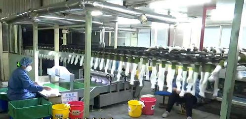 張店 堅(jiān)決打贏疫情防控阻擊戰(zhàn)