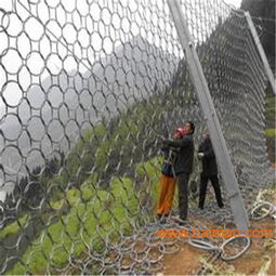 邊坡防護網(wǎng)施工費用明細 gps2型邊坡防護網(wǎng),邊坡防護網(wǎng)施工費用明細 gps2型邊坡防護網(wǎng)生產(chǎn)廠家,邊坡防護網(wǎng)施工費用明細 gps2型邊坡防護網(wǎng)價格